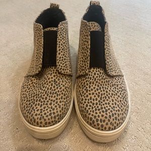 Universal Thread - size 8.5